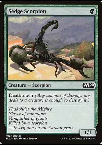 Sedge Scorpion (Seggen-Skorpion)